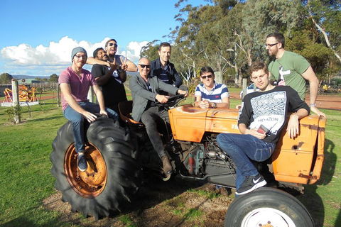 1/2 Day Swan Valley Wine Cheese & Chocolate Tour Inc Afternoon Cruise To Perth - C Tourism 1