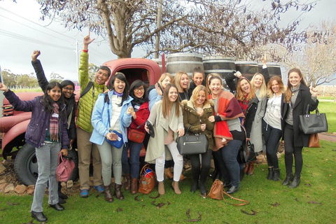 1/2 Day Swan Valley Wine Cheese & Chocolate Tour Inc Afternoon Cruise To Perth - C Tourism 5