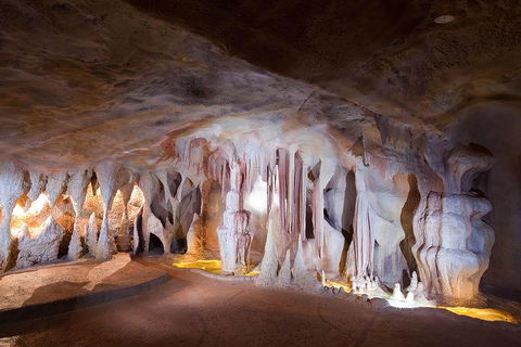 Springbrook AndTamborine Rainforest Tour Incl Natural Bridge And Glow Worm Cave - C Tourism 4