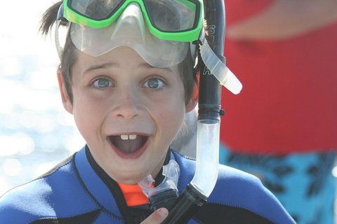 Dolphin Cruise From Adelaide With Optional Dolphin Swim - C Tourism 3