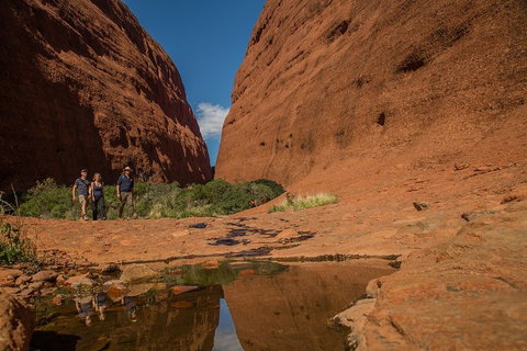 4 Day/3 Night Perentie Dreaming Safari - C Tourism 3