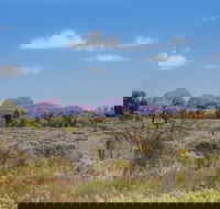 Overnight Uluru Ayers Rock Small-Group Camping Tour - C Tourism