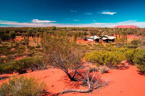 Overnight Uluru (Ayers Rock) Small-Group Camping Tour - C Tourism 2