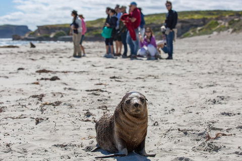 Kangaroo Island In A Day Tour From Adelaide - C Tourism 0