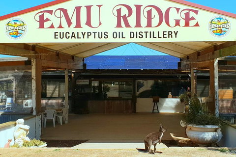 2 Day Ultimate Kangaroo Island With Return Ferry - C Tourism 3