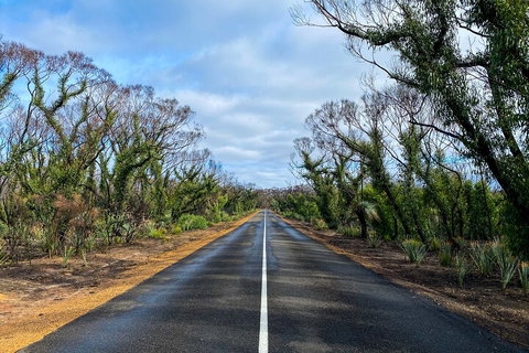 2 Day Ultimate Kangaroo Island With Return Ferry - C Tourism 4