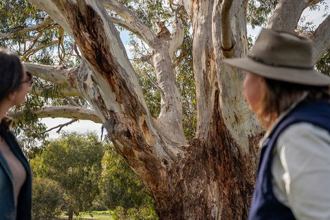 NEW TOUR - Kangaroo Island Road To Recovery Tour (1 Day/1 Night) - C Tourism 0