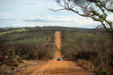 NEW TOUR - Kangaroo Island Road To Recovery Tour (1 Day/1 Night) - C Tourism 2