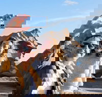 Full-Day Kangaroo Island Experience Departing from Kangaroo Island - C Tourism