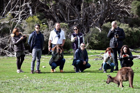 Small-Group Kangaroo Island 4WD Tour From Adelaide - C Tourism 2