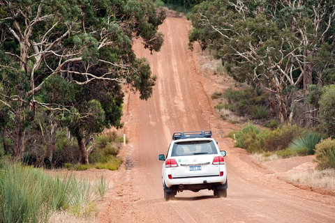 Small-Group Kangaroo Island 4WD Tour From Adelaide - C Tourism 3