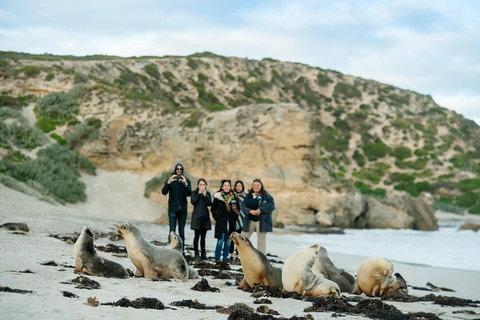 Small-Group Kangaroo Island 4WD Tour From Adelaide - C Tourism 4