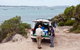 Small-Group Kangaroo Island 4WD Tour From Adelaide - thumb 5