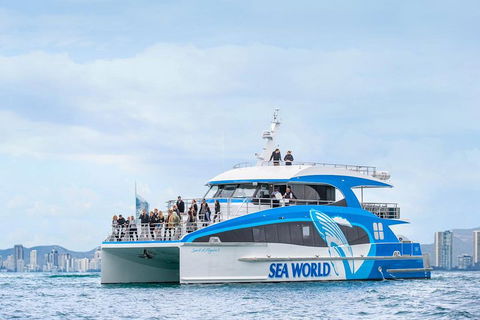 Whale Watching By Sea World Cruises - C Tourism 3