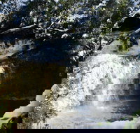 Cradle Mountain Day Tour from Launceston Including Lunch - C Tourism