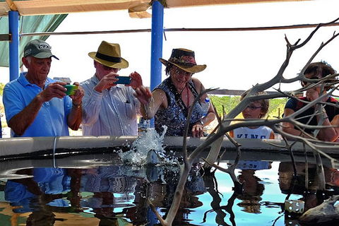 Cape Leveque 4WD Tour From Broome With Optional Return Flight - C Tourism 0