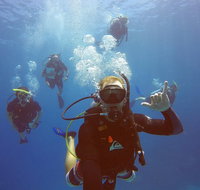 12-Day Great Barrier Reef Marine Conservation Program from Cairns - C Tourism