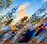 Litchfield National Park Waterfalls and Wildlife Tour from Darwin - C Tourism