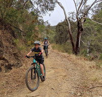 Mount Lofty Descent Bike Tour from Adelaide - C Tourism