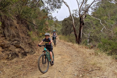 Mount Lofty Descent Bike Tour From Adelaide - C Tourism 0