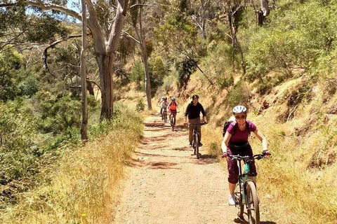Mount Lofty Descent Bike Tour From Adelaide - C Tourism 3