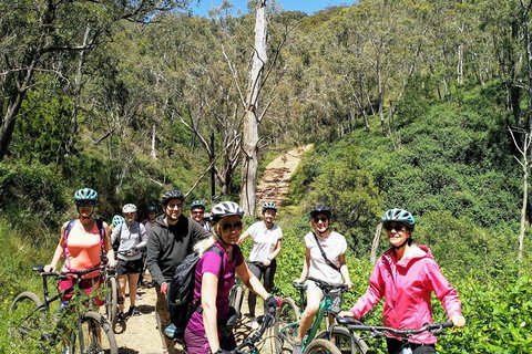 Mount Lofty Descent Bike Tour From Adelaide - C Tourism 5