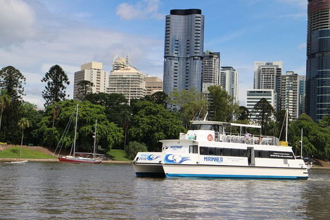 Lone Pine Koala Sanctuary Admission With Brisbane River Cruise - C Tourism 2