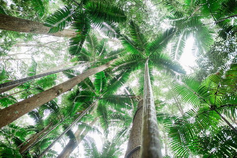 Fraser Explorer K'gari 2-Day Tour - C Tourism 2