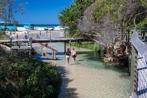 All-Inclusive Fraser Island Day Tour - C Tourism 4