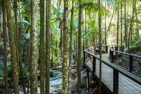 All-Inclusive Fraser Island Day Tour - C Tourism 5