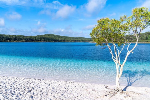 Lake McKenzie Full-Day Tour With Lunch From Hervey Bay - C Tourism 1