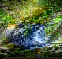 Day Tour in Mt. Field Mt. Wellington Bonorong Wildlife Sanctuary and Richmond - C Tourism