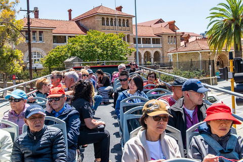 Perth Hop-On Hop-Off Bus Tour - C Tourism 1