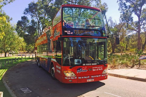 Perth Hop-On Hop-Off Bus Tour - C Tourism 4