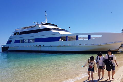 Moreton Island Day Trip (Kayak, Snorkel & Sandboard) Frm Brisbane Or Gold Coast - C Tourism 0