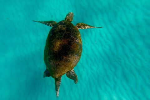 2-Day Moreton Island Tour From Brisbane Or Gold Coast With Optional Nighttime Kayaking - C Tourism 5