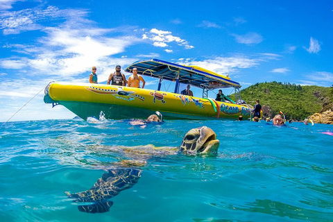 Great Barrier Reef Scenic Flight And Ocean Rafting Whitehaven Beach Day Trip - C Tourism 1