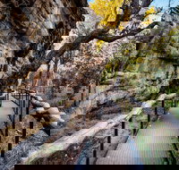 Kakadu National Park Cultural Experience - C Tourism