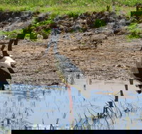 Darwin to Kakadu Day Trip by Air Including Yellow Water Cruise - C Tourism
