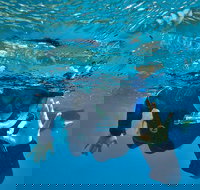 3 Day Whitsundays Sailing and Diving Adventure Kiana - C Tourism