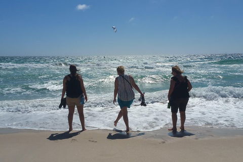 Very Best Of Perth Tour - Wildlife Park & City Highlights Tour - C Tourism 5