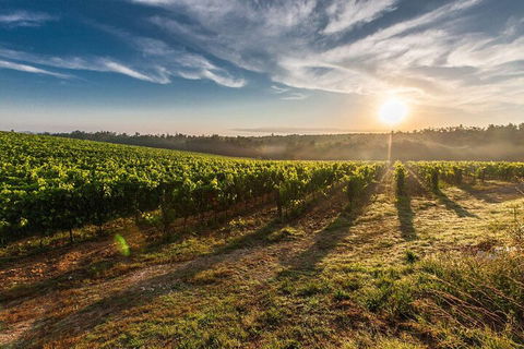 Perth To Margaret River Wine Tour - 2 Day Premium Boutique Wine Tour Experience - C Tourism 0