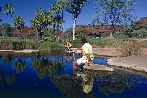 Palm Valley 4WD Day Tour - C Tourism 1