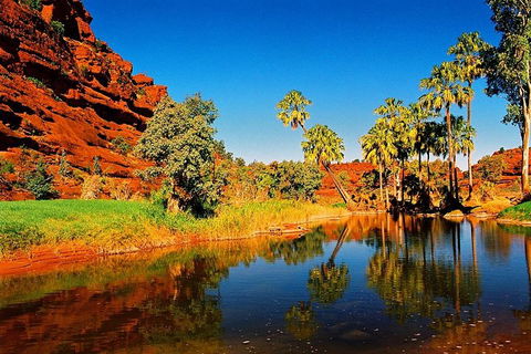 Palm Valley 4WD Day Tour - C Tourism 2