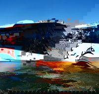 Express Jet Boat Ride  Aquaduck - C Tourism