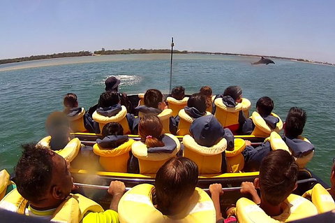 Jet Boat Express Ride - 30mins - C Tourism 5