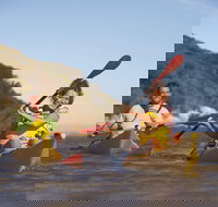 Kangaroo Island Self-Guided Kayaking on the Harriet River - C Tourism