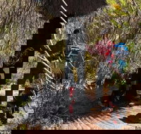 Kangaroo Island Quad Bike ATV Tours - C Tourism