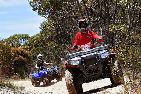 Kangaroo Island Quad Bike (ATV) Tours - C Tourism 5