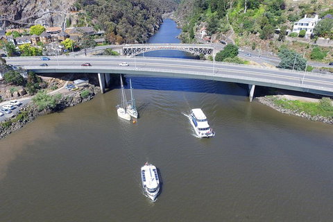 2.50 Hour Afternoon Discovery Cruise Including Cataract Gorge Departing At 3 Pm - C Tourism 1